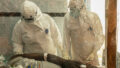 563222_ebola_dispatch_23175 676x451.jpg