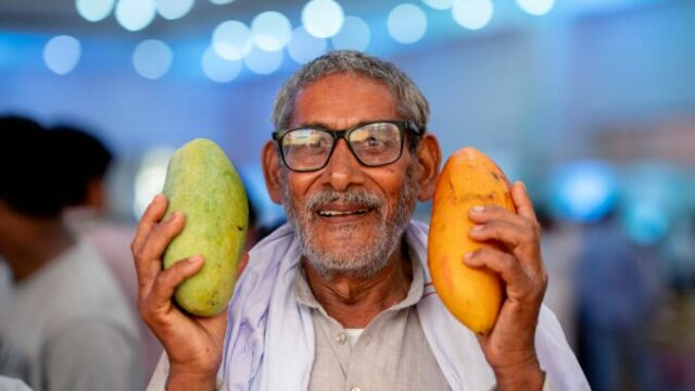 563307_india_mango_festival_31466 676x451.jpg