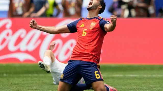 563841_merino 676x451 1.jpg