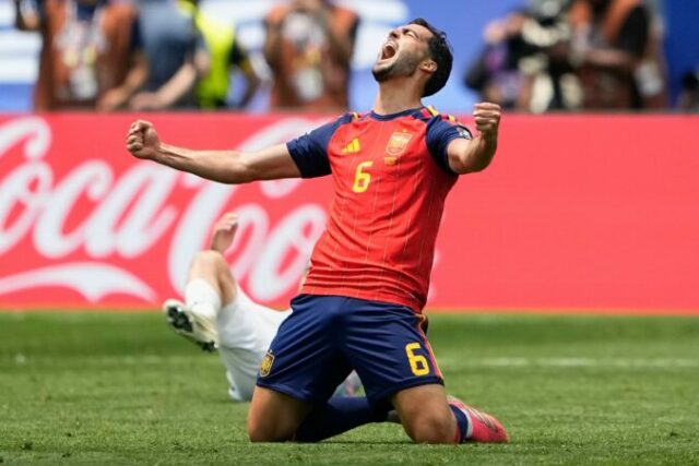 563841_merino 676x451 1.jpg