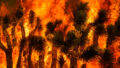 563916_aptopix_california_wildfire_88892 676x451 1.jpg