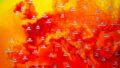564206_gettyimages 2283258211 676x451 1.jpg