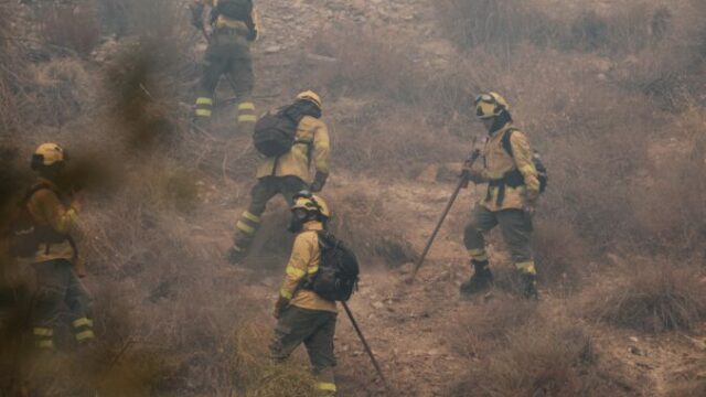 564317_spain_wildfire_65867 676x451 1.jpg