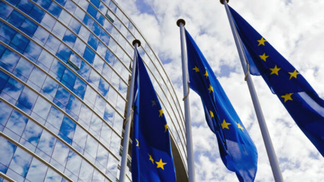 European Union Flags