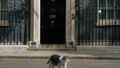 564569_britain_politics_168_4 676x451 1.jpg