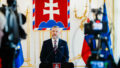 564772_pellegrini 676x451 1.jpg