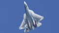 564855_india_aero_show_51719 676x451 1.jpg