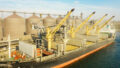 Loading grain into holds of sea cargo vessel through an automatic line in seaport from silos of grain storage. Bunkering of dry cargo ship with grain