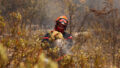564872_europe_wildfires_63878 676x451 1.jpg