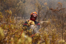 564872_europe_wildfires_63878 676x451 1.jpg