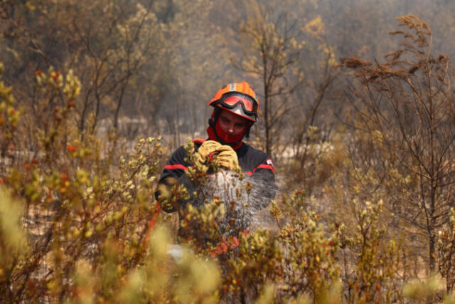 564872_europe_wildfires_63878 676x451 1.jpg