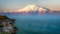 565037_gettyimages 649661418 676x449 1.jpg