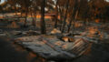 565106_spain_wildfires_8_734 676x451 1.jpg