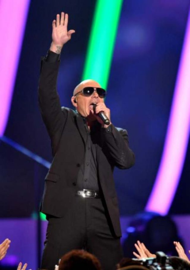 Pitbull