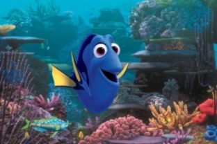 Hľadá sa Nemo, Dory, animovaný film