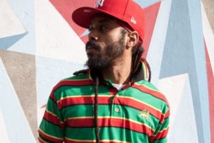 Lion D