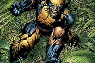 Wolverine (comics)
