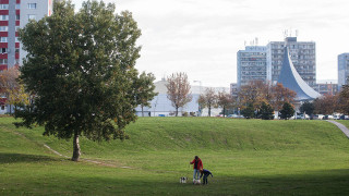 Dúbravka, lúka, Pod záhradami