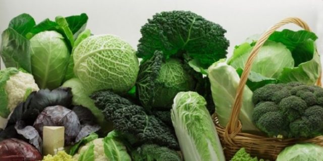 Kapusta, kel, zelenina, zdravá strava