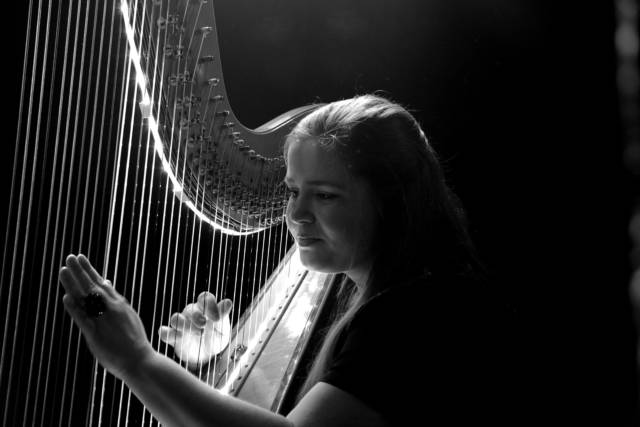 Harfa, hra, hudobný nástroj