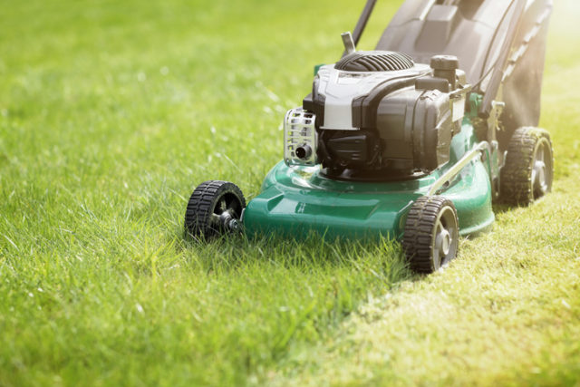 Mowing the grass