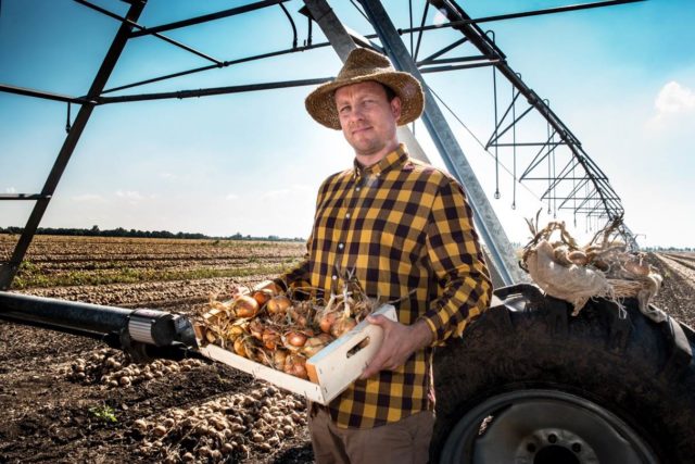 Zeleninarska spolocnost v pustych ulanoch 1.jpg