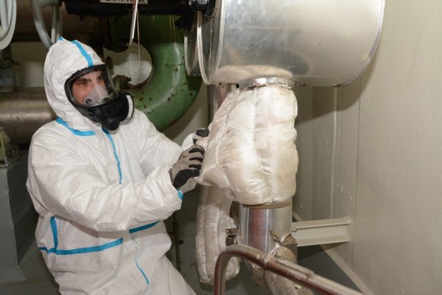 Hospodarstvo elektrarne jaslovske bohunice foto javis 1.jpg