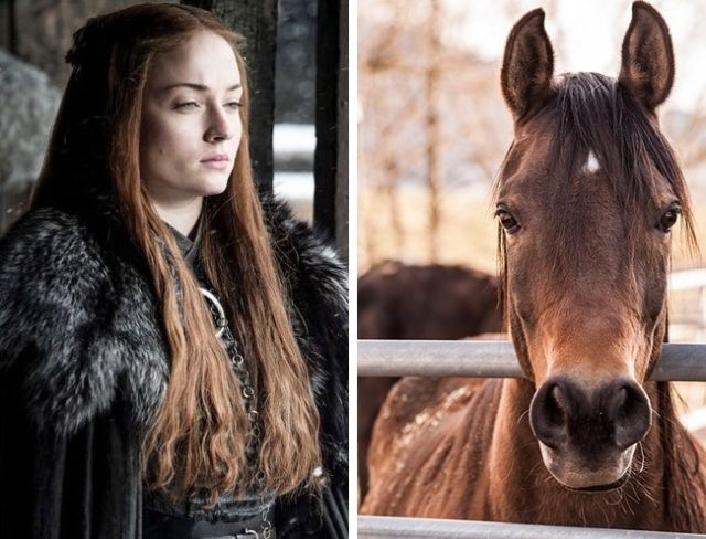 Sophie turner je alergicka na kone..jpg