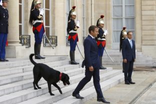 France Macron's Dog