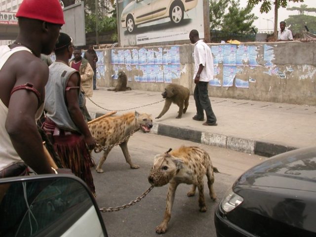 17378610 africa2thebiggest 1511864873 650 af108cc3fd 1511971135.jpg