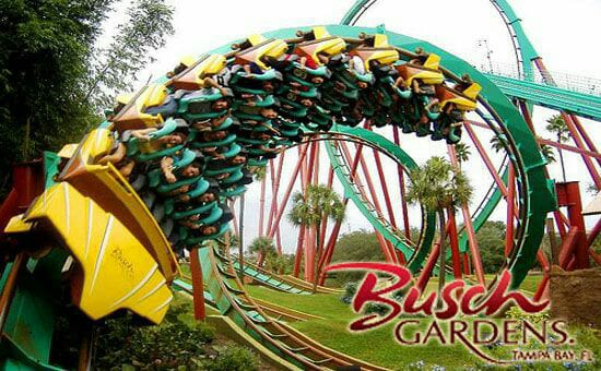 Busch gardens tampa bay.jpg