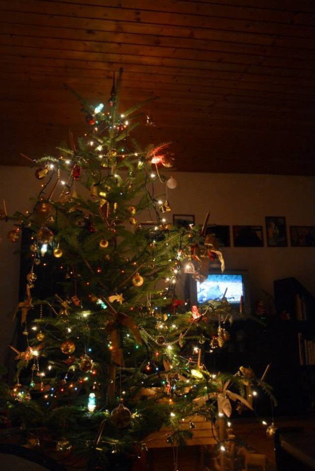 Vianocny stromcek 1.jpg