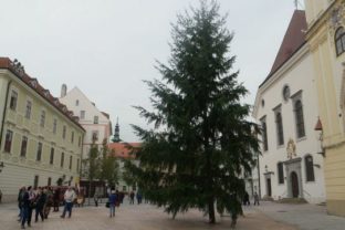 Vianočný stromček, Hlavné námestie