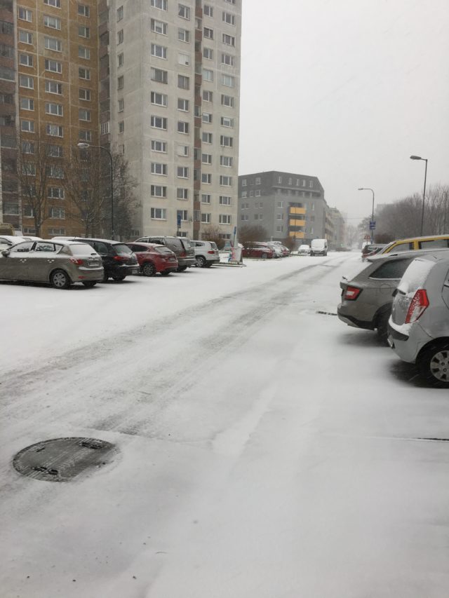 Petrzalka sneh cesta.jpg