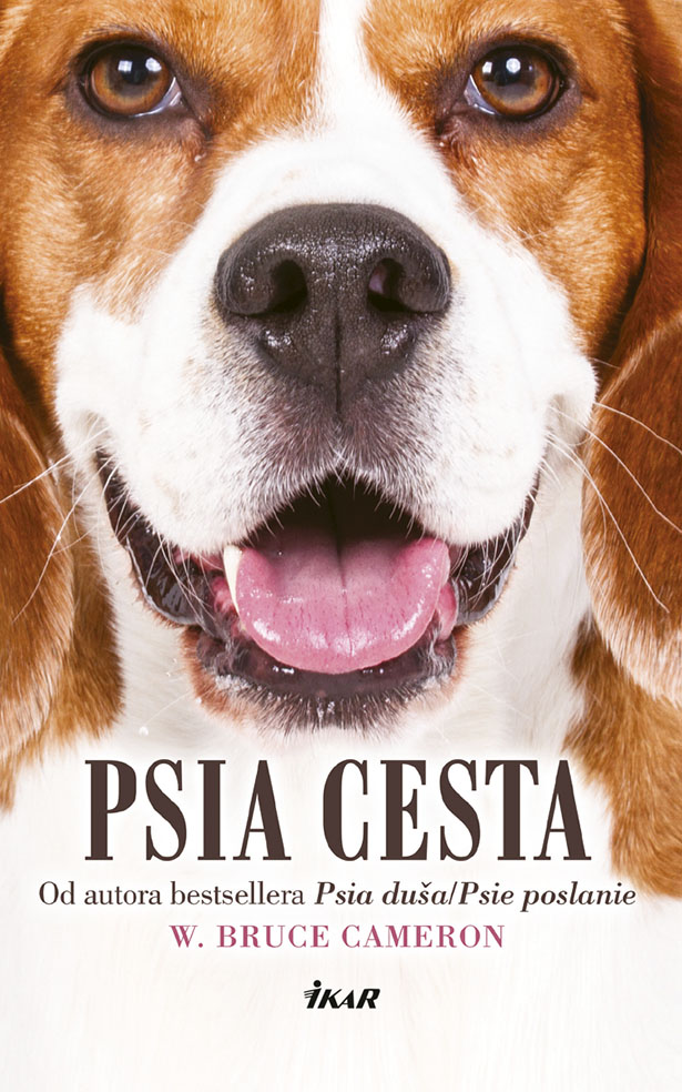 Prebal psi cesta 4 k2.indd