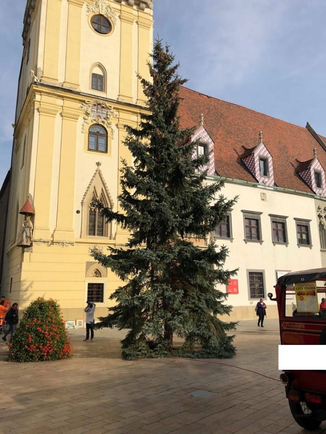 Vianočný stromček 2018
