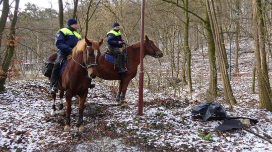 Mestská polícia Bratislava, hliadka na koňoch