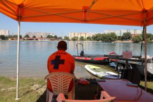Plavcik petrzalka drazdiak zachranna sluzba.jpg