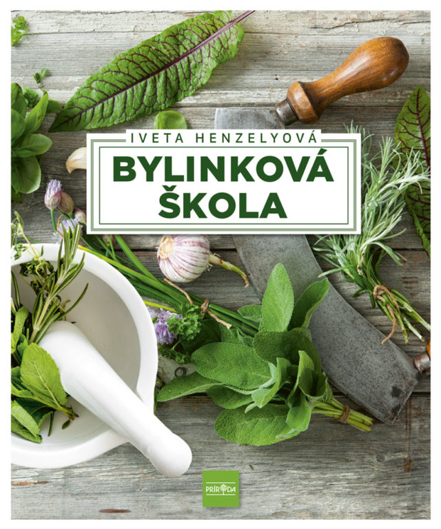 Bylinkova skola.jpg