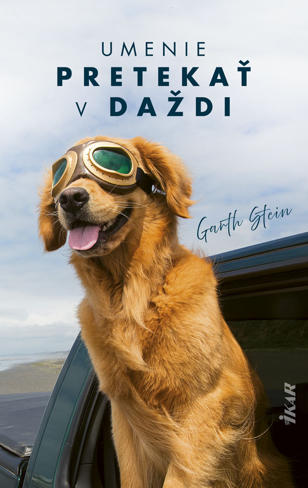 Umenie pretekat v dazdi.jpg