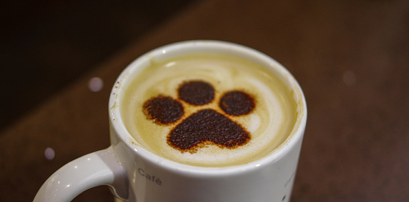 Mačacia kaviareň