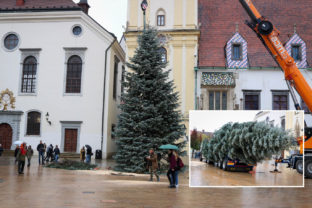 Hlavne mesto namestie vianoce stromcek kolaz.jpg