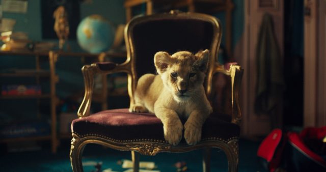 King_02.jpg