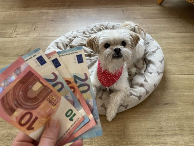 pes, peniaze