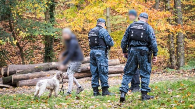 Mestska policia bratislava psy volny vybeh kontrola.jpg