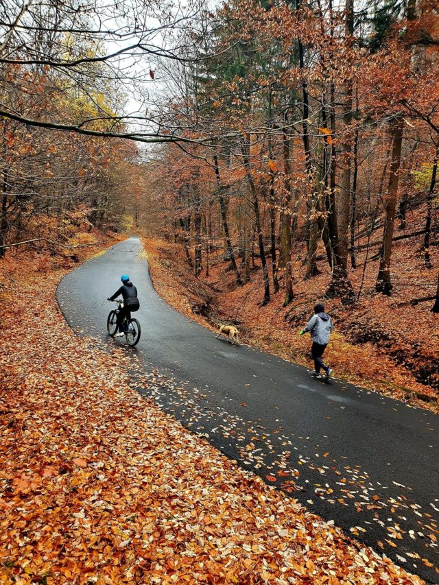 Cyklisti mestske lesy 3.jpg