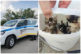 Kolaz bratislava mestska policia fotor 2023092083355.jpg