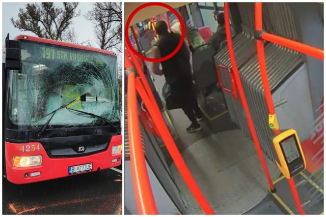 Kolaz bratislava nehoda autobus srna.jpg