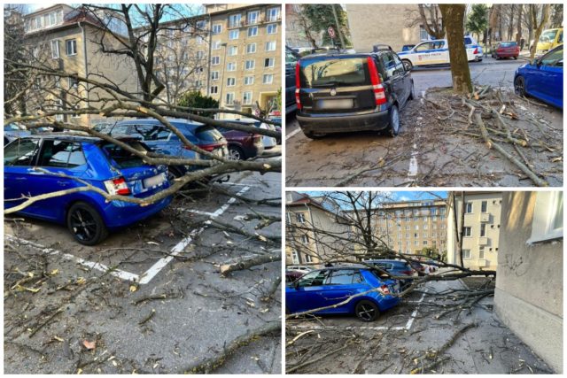 Kolaz bratislava mestska policia.jpg