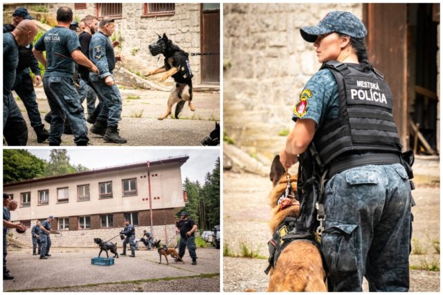 Kolaz metska policia bratislava.jpg